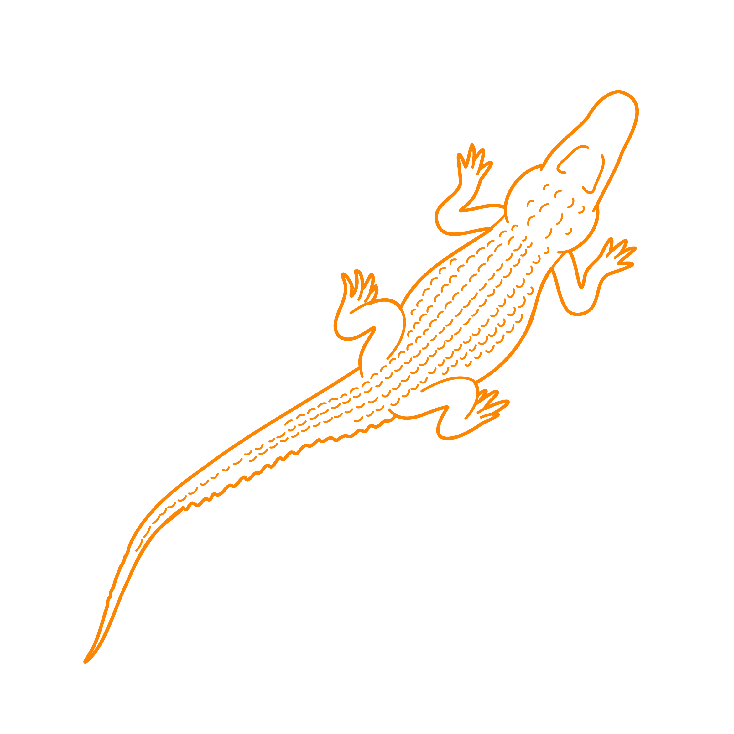 Animals Crocodilians Engraving Svg Design Free Vectors